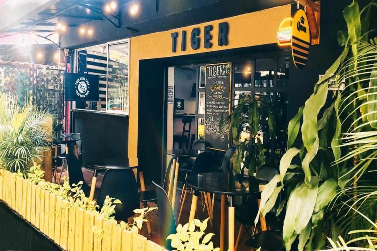 Tiger Hostel Medellín Extérieur photo